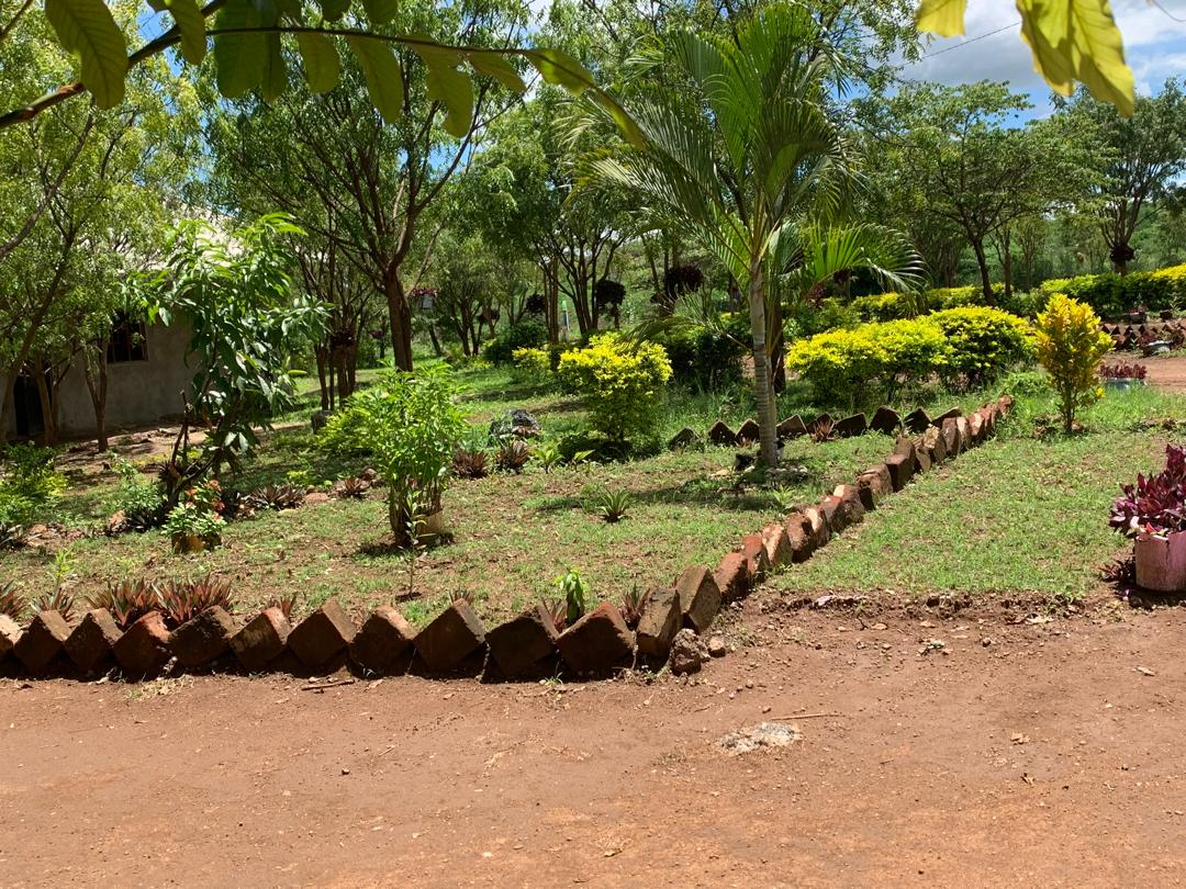 School Grounds